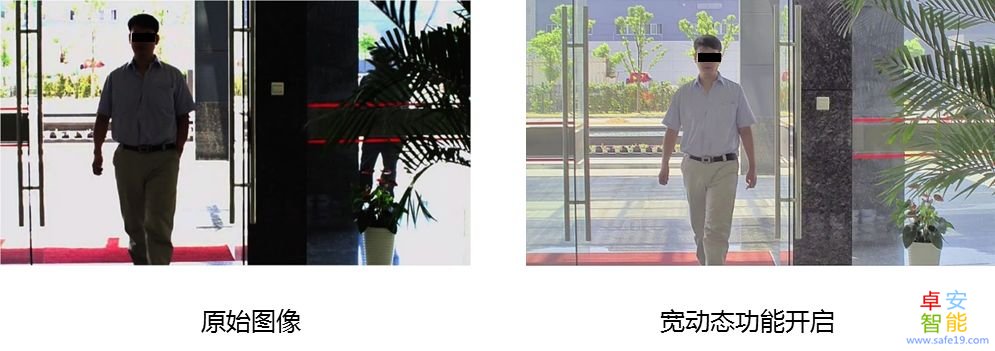 日韩人妻无码免费视频一区二区三区