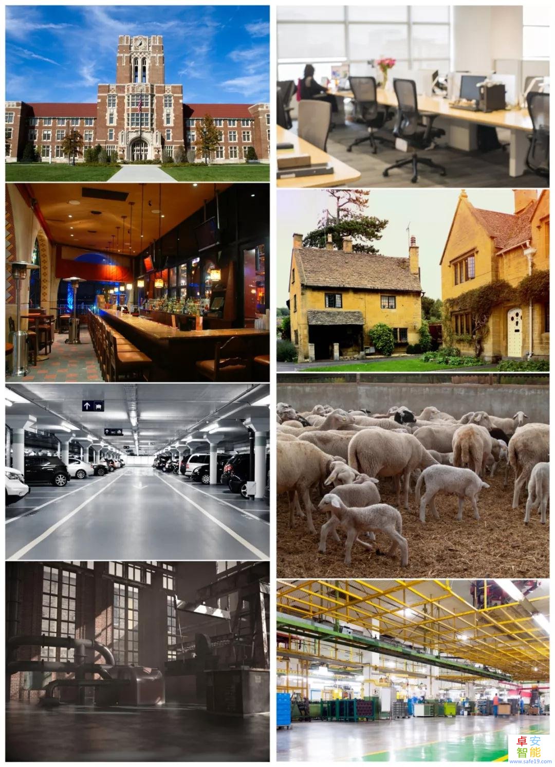 日韩人妻无码免费视频一区二区三区