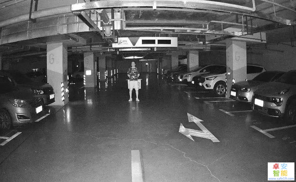 日韩人妻无码免费视频一区二区三区